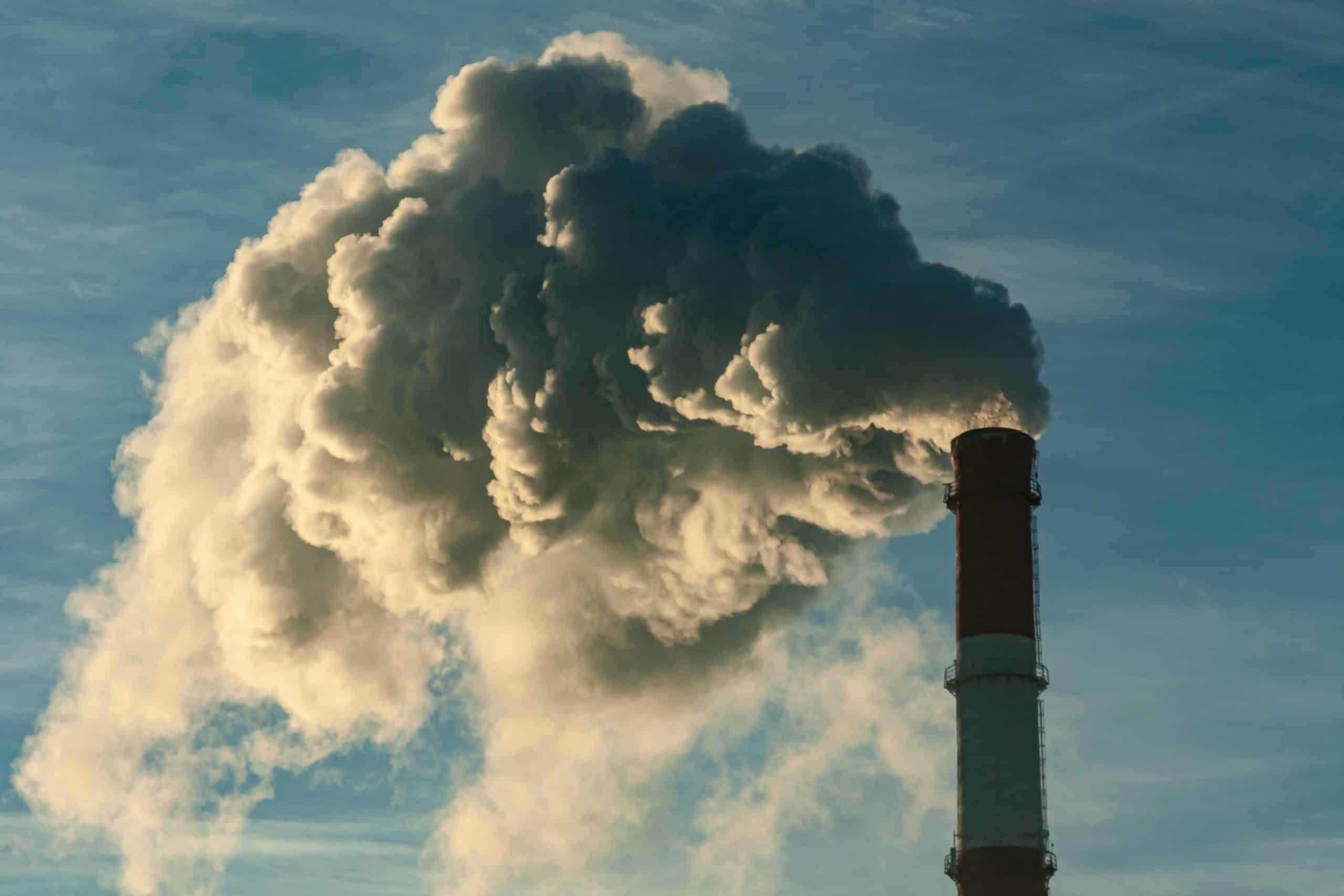 ישנים על הקופה