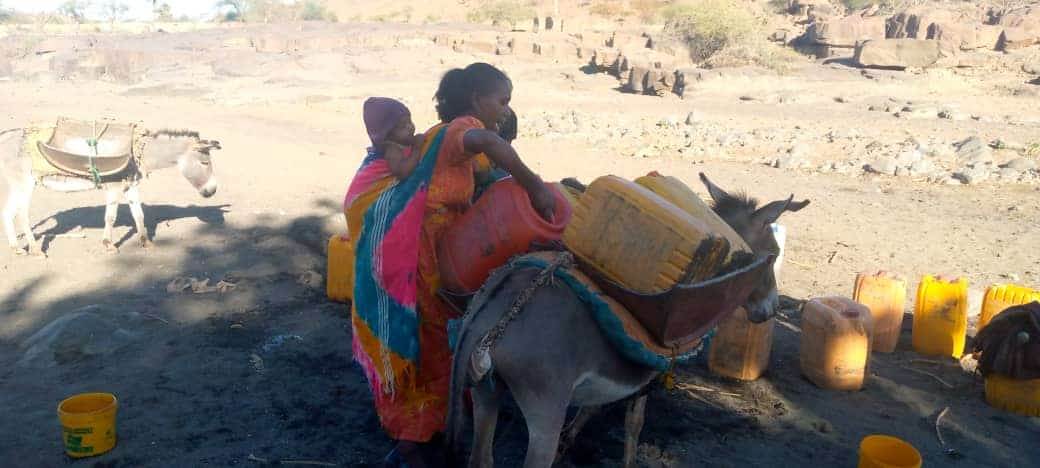 האנשים שעברו גיהנום ונשארו בלי כלום