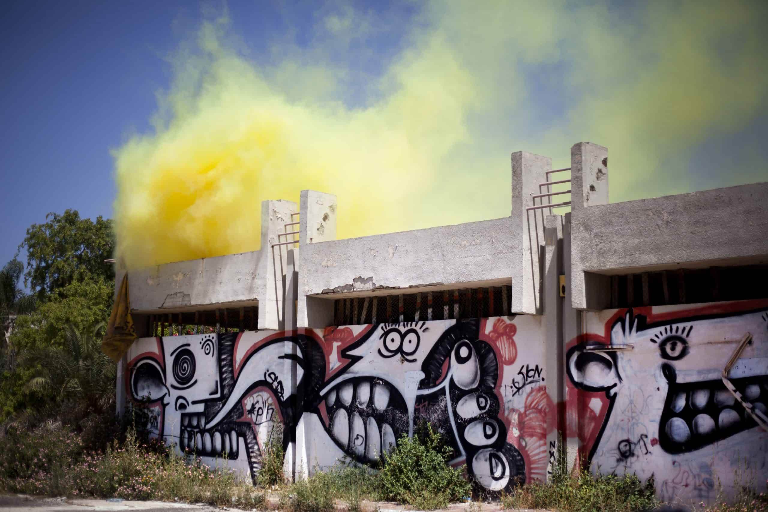 חינוך לדיקטטורה