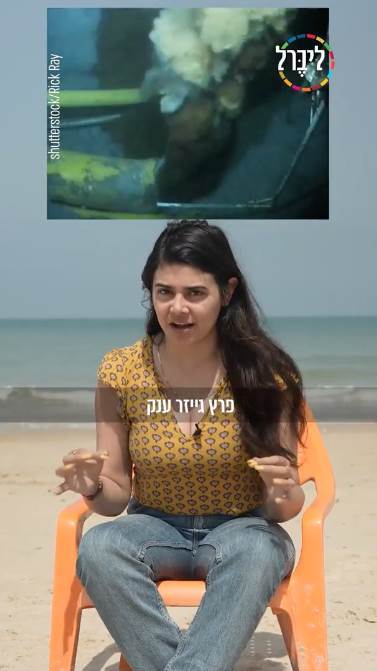 אסון מפרץ מקסיקו
